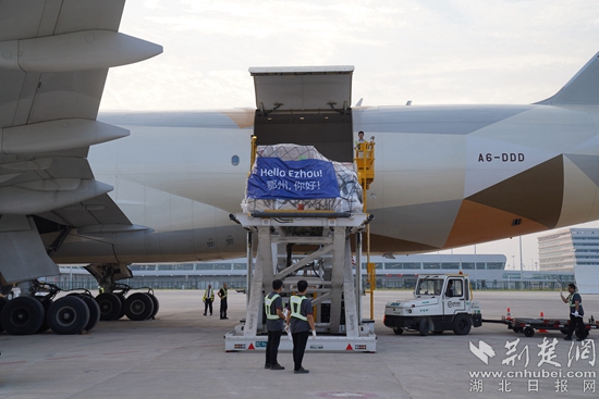 機(jī)務(wù)人員卸下貨物。金康 攝.jpeg