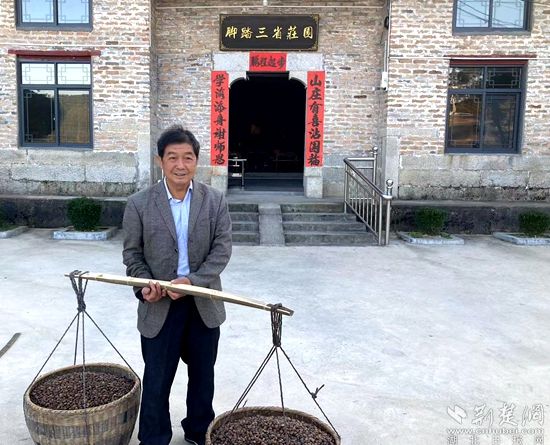 何道關(guān)與自己種的油茶果。黃錚 攝_副本.jpg.jpg