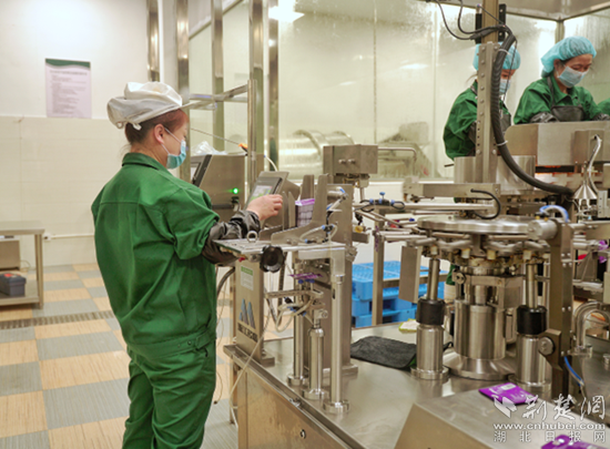 興龍生態(tài)觀光工廠。通訊員 劉承群 供圖_副本.png.png