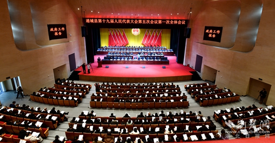 通城兩會(huì)2.jpg